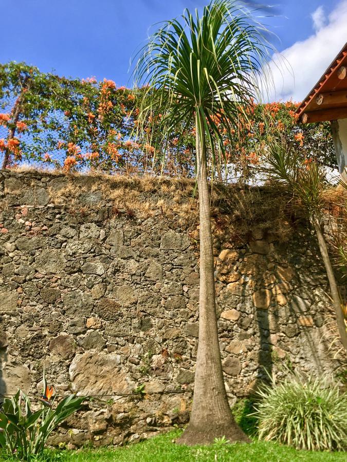 Posada Nican Mo Calli Tepoztlán Dış mekan fotoğraf